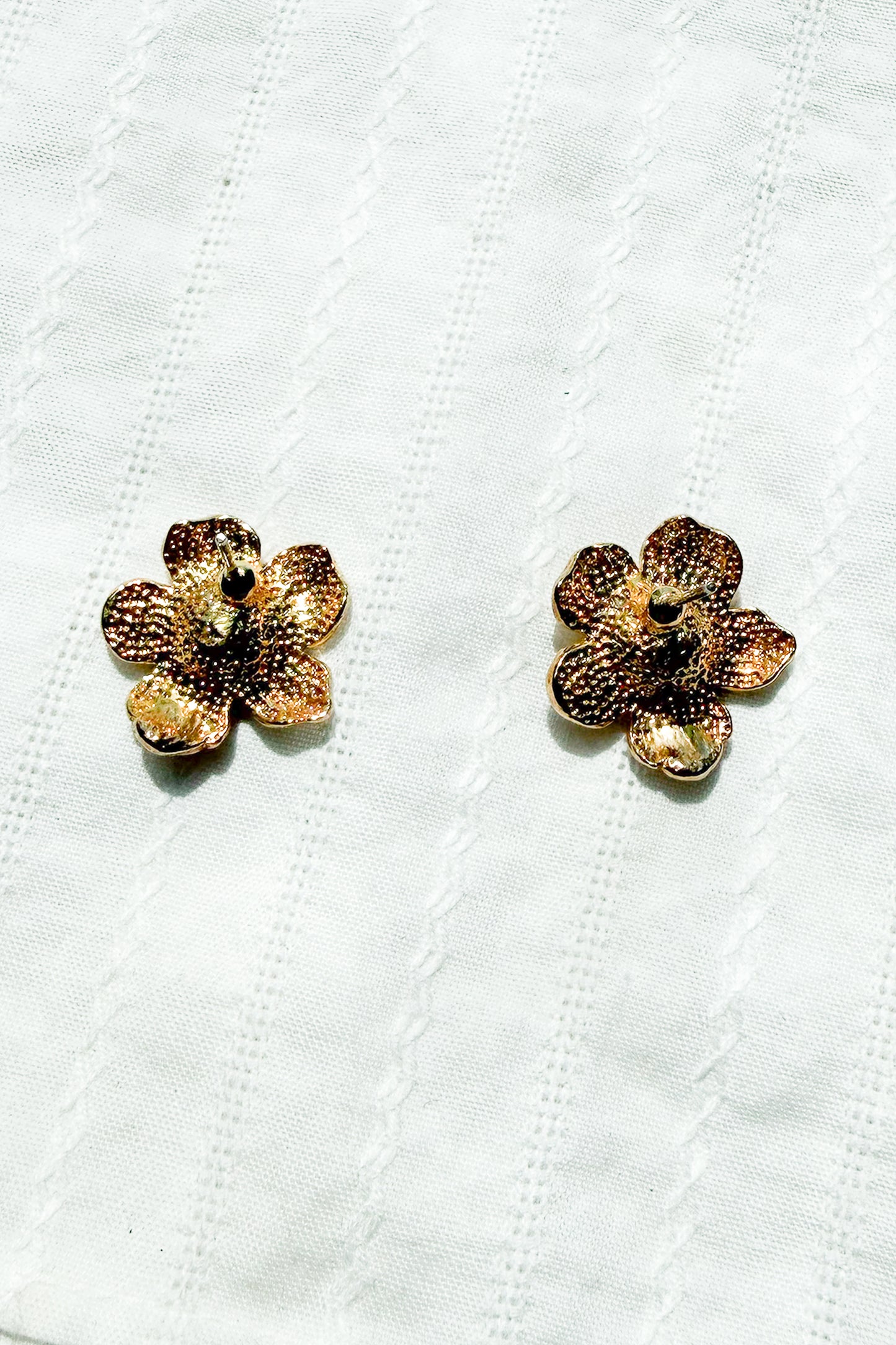 Bloom 03